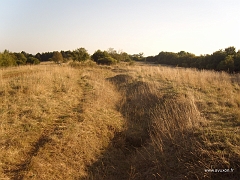 Le terrain a été destabilisé par l'exploitation minière, contribuant à créer ces fossés potentiellement dangereux